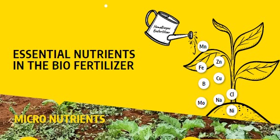 Essential nutrients in the Bio fertilizer