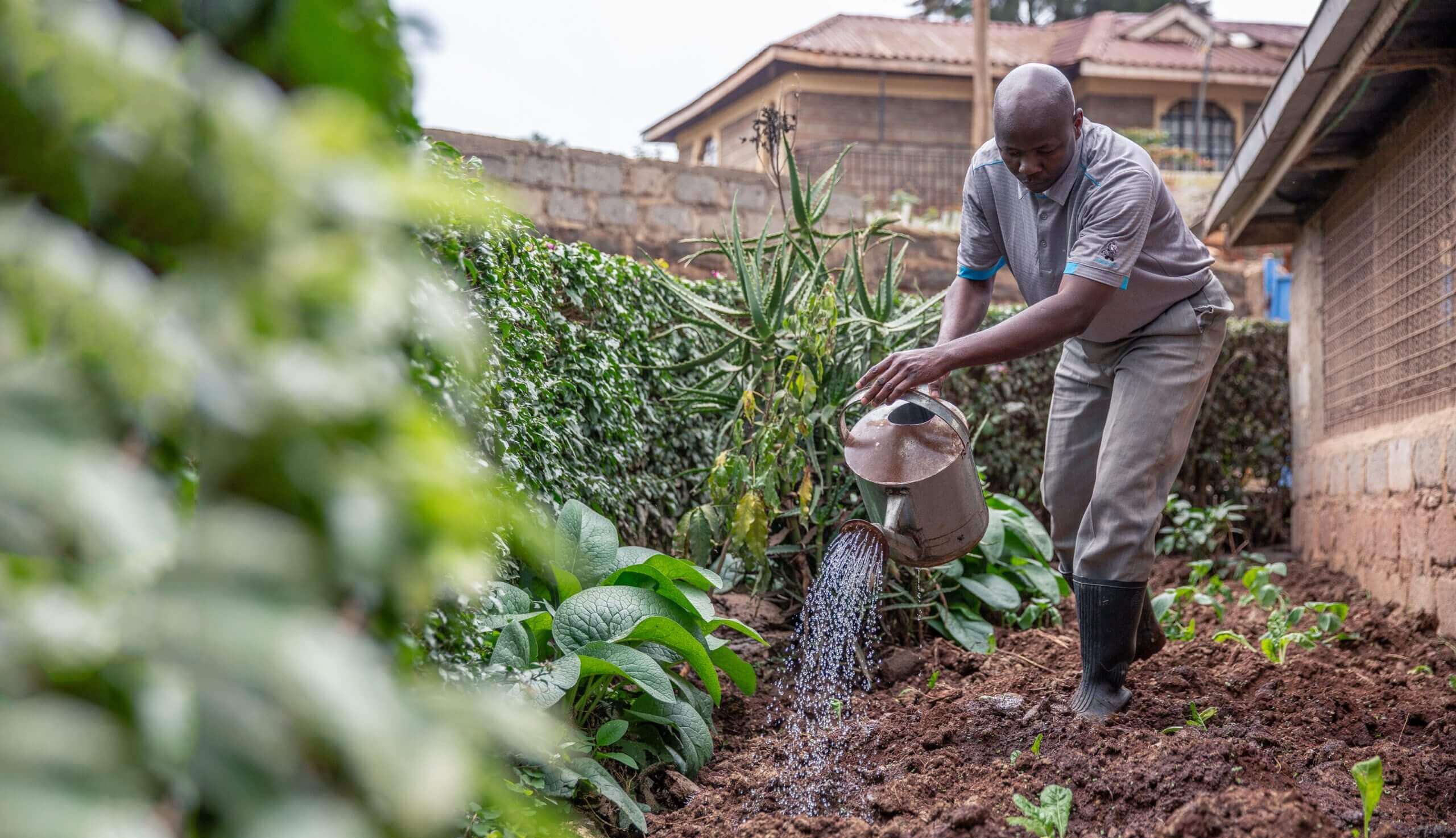 MANUAL FERTILIZER